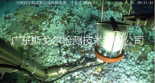 海洋沉積物圖片/海洋沉積物樣板圖 (4)