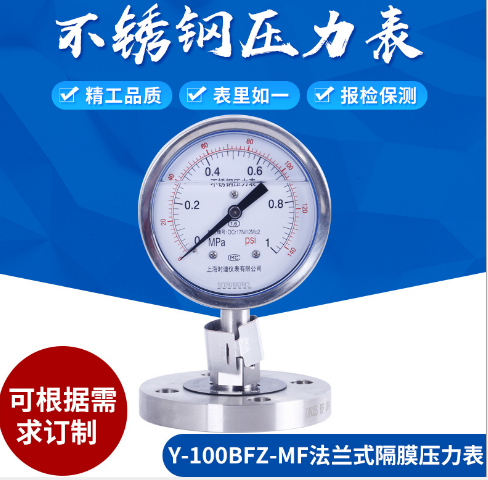 Y100-BFZ耐震隔膜式壓力表圖片