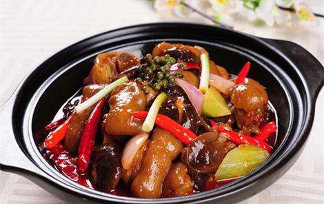 雞公煲培訓圖片