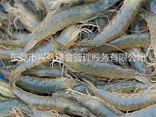 水產(chǎn)配送圖片/水產(chǎn)配送樣板圖 (1)
