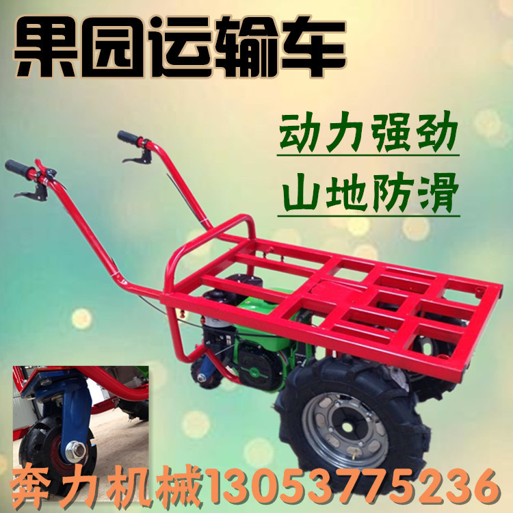 農(nóng)業(yè)山坡果園拉水果手推車   帶動力雙輪平板車  爬坡虎手推車