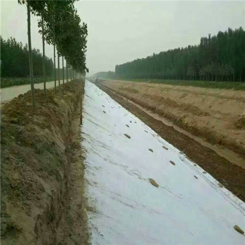 復(fù)合土工膜圖片/復(fù)合土工膜樣板圖 (4)