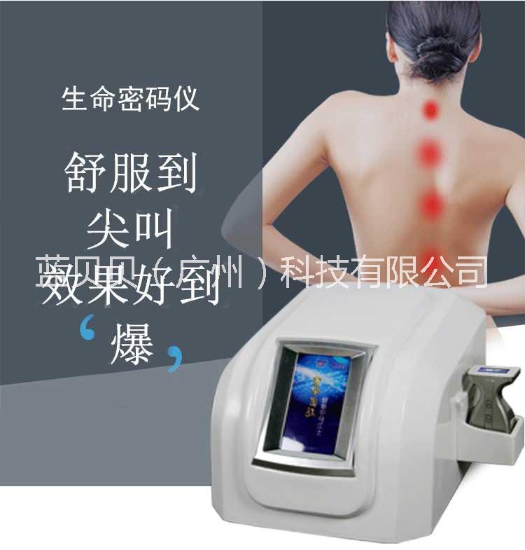 生命密碼美容儀器生命密碼理療儀圖片/生命密碼美容儀器生命密碼理療儀樣板圖 (4)