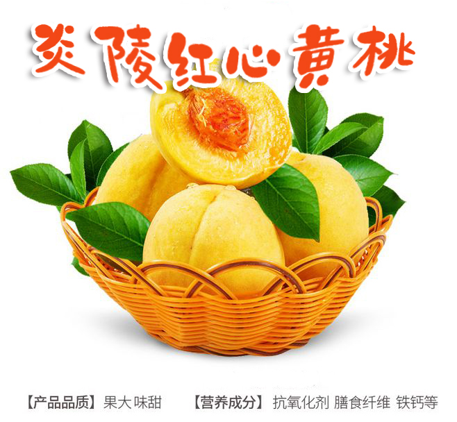 黃桃圖片/黃桃樣板圖 (1)