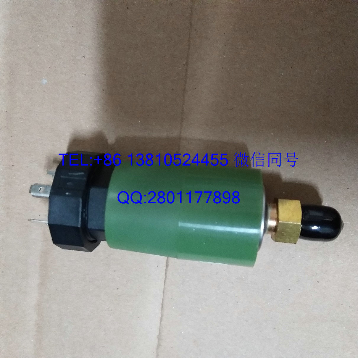 約克圖片/約克樣板圖 (2)