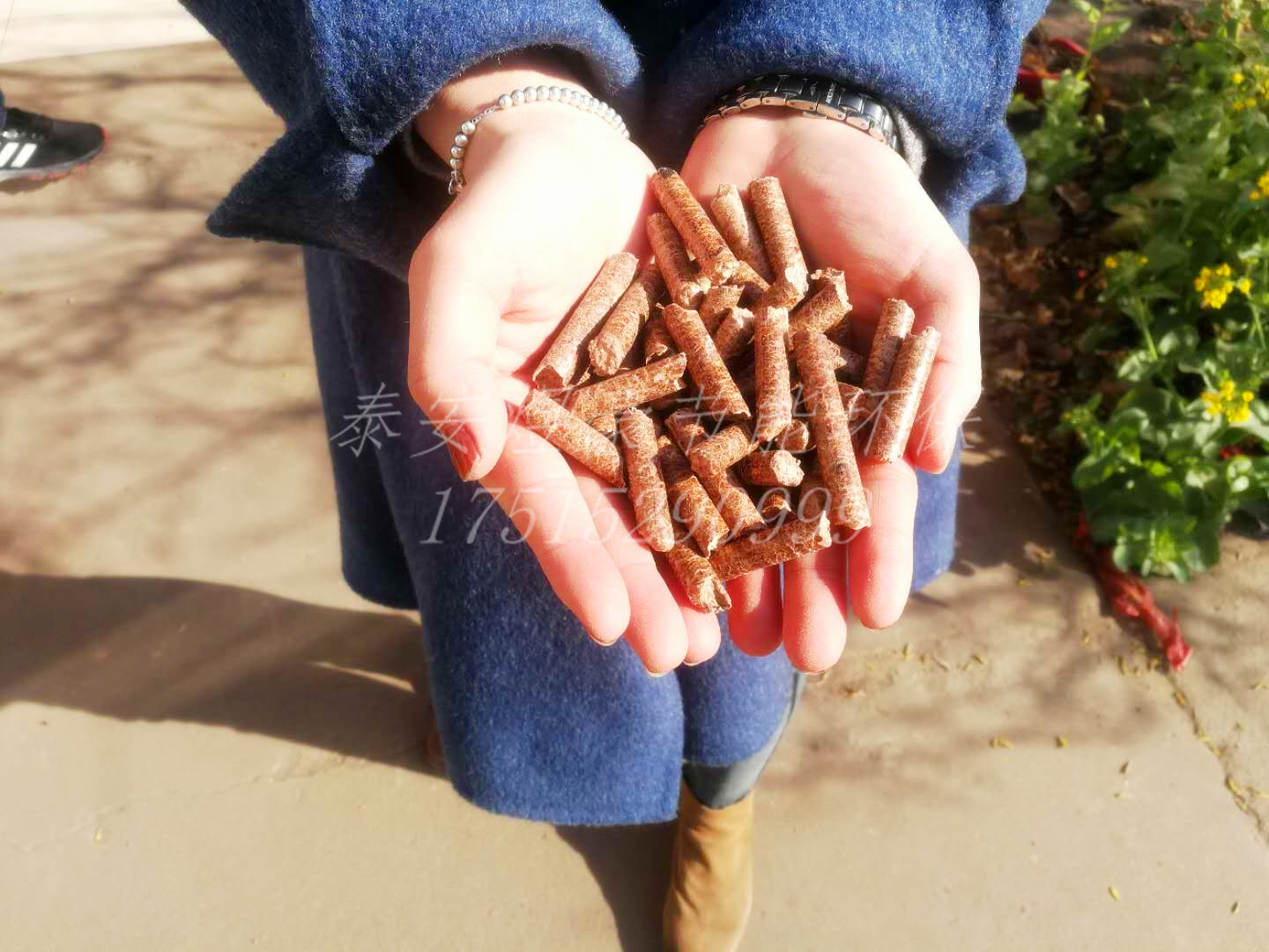 生物質(zhì)顆粒圖片/生物質(zhì)顆粒樣板圖 (4)