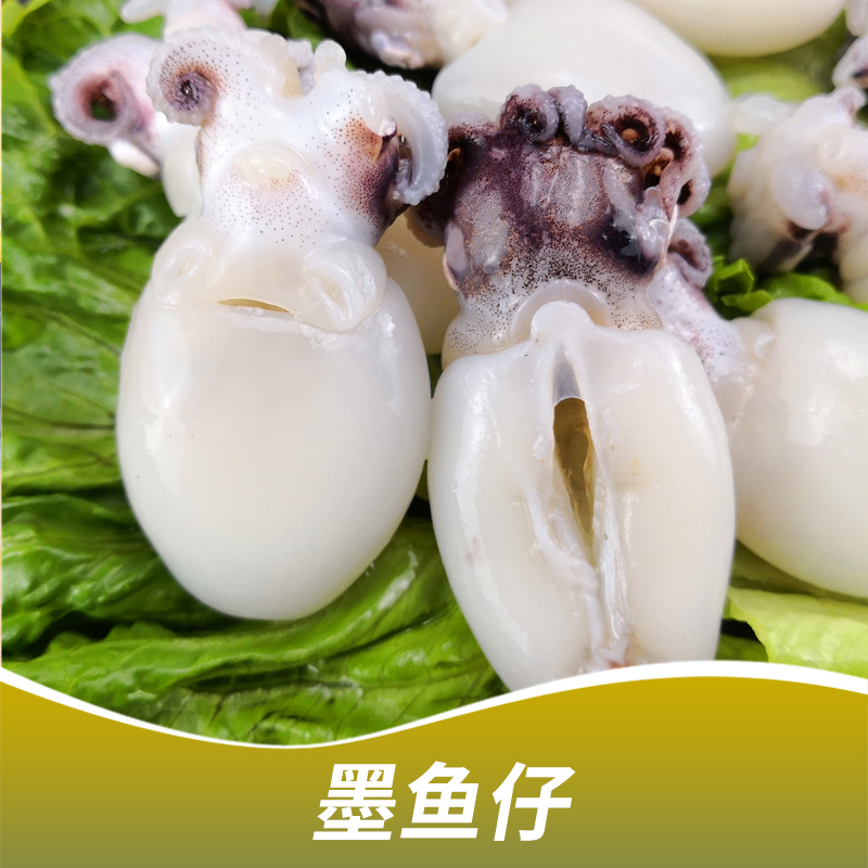 墨魚仔圖片/墨魚仔樣板圖 (3)