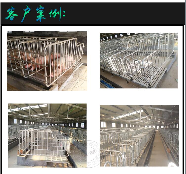 母豬定位欄圖片/母豬定位欄樣板圖 (4)