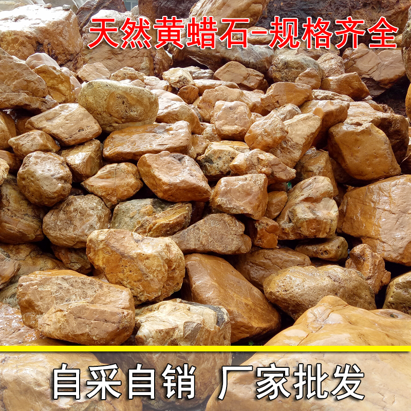 黃蠟石圖片/黃蠟石樣板圖 (4)