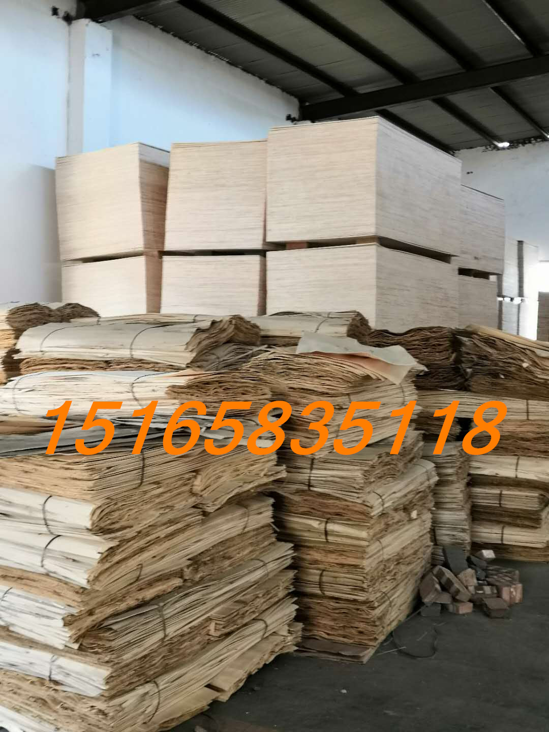 好板材哪里買山東河北天津膠合板圖片/好板材哪里買山東河北天津膠合板樣板圖 (2)