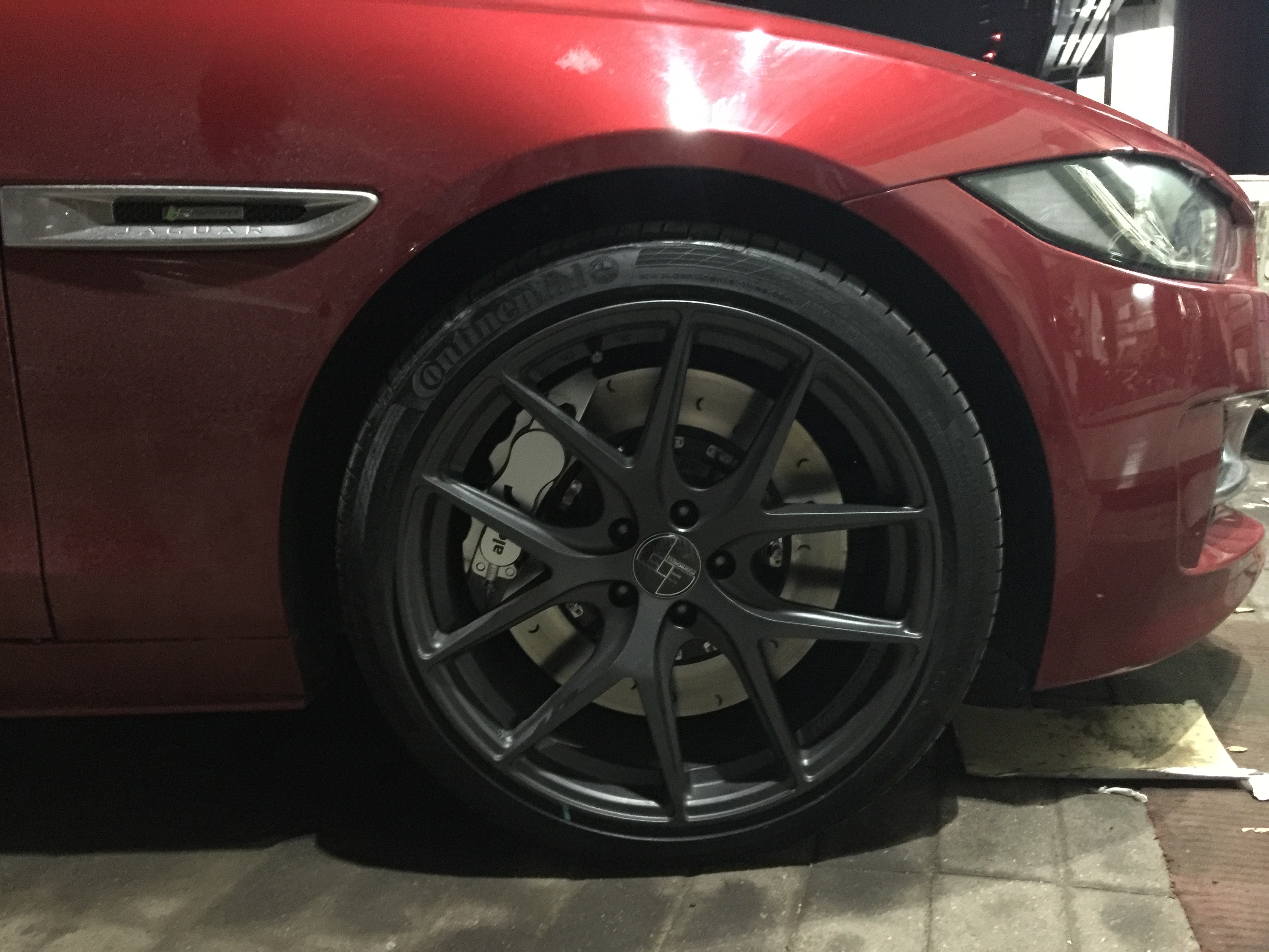 Brembo鮑魚(yú)圖片