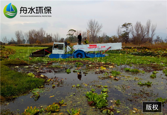 割草船圖片/割草船樣板圖 (3)