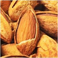 殼子圖片/殼子樣板圖 (2)