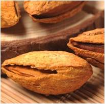 殼子圖片/殼子樣板圖 (4)