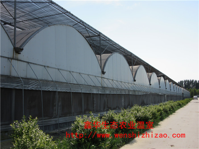 鑫華喲~薄膜溫室【塑料薄膜溫室】【薄膜溫室報價】