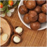 殼子妃子    夏威夷果圖片/殼子妃子    夏威夷果樣板圖 (2)