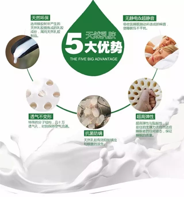 泰國原產(chǎn)天然乳膠枕圖片/泰國原產(chǎn)天然乳膠枕樣板圖 (3)