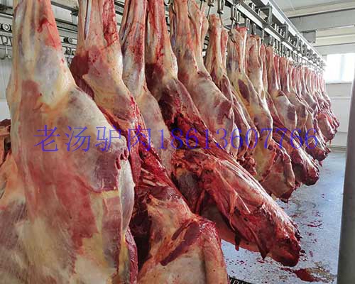 進(jìn)口馬肉圖片/進(jìn)口馬肉樣板圖 (3)