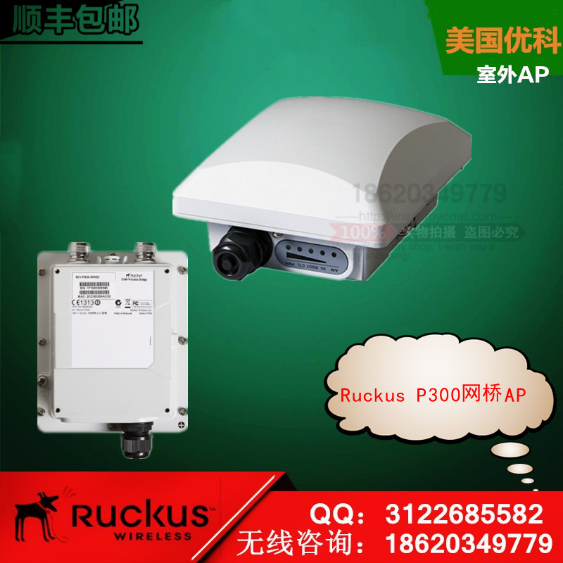 RuckusP300室外网桥AP图片