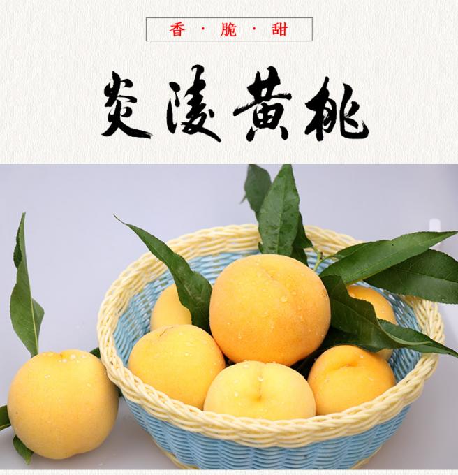 炎陵黃桃：盛夏的果實