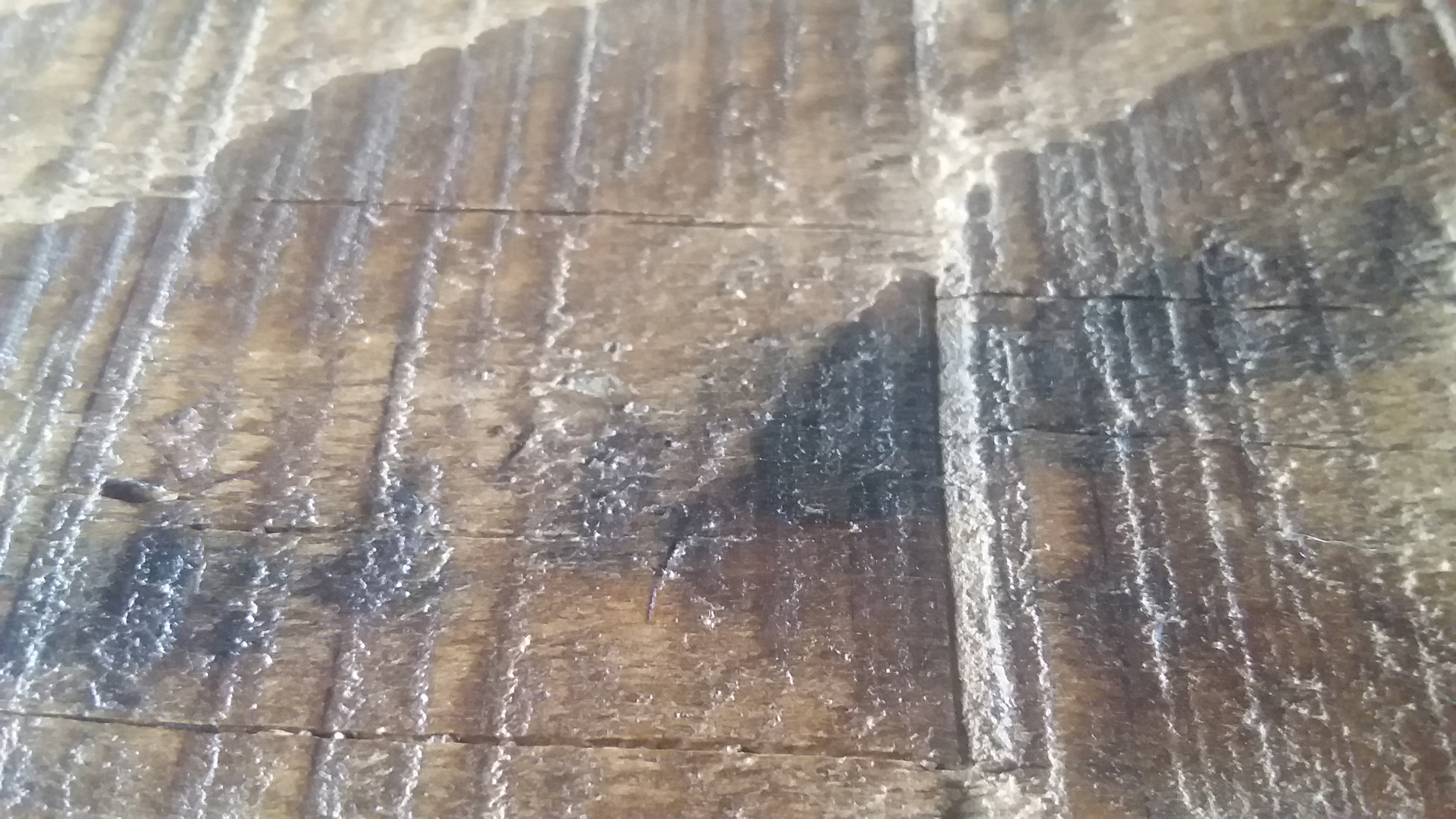 海南黃花梨圖片/海南黃花梨樣板圖 (4)