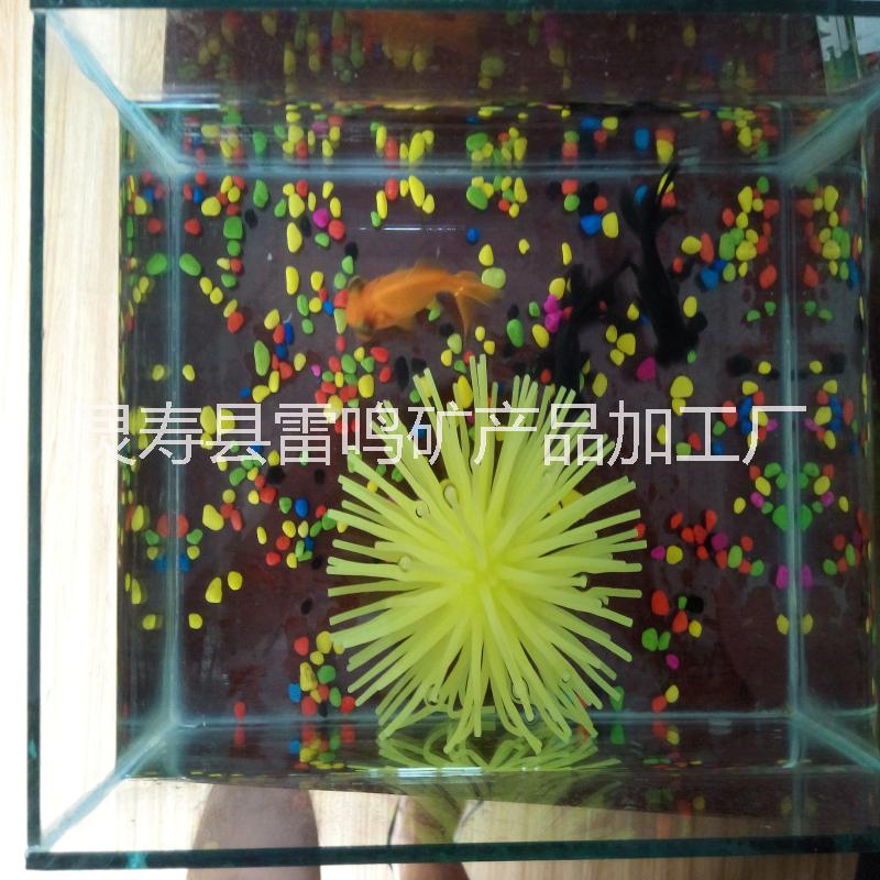 魚缸造景底砂圖片/魚缸造景底砂樣板圖 (3)