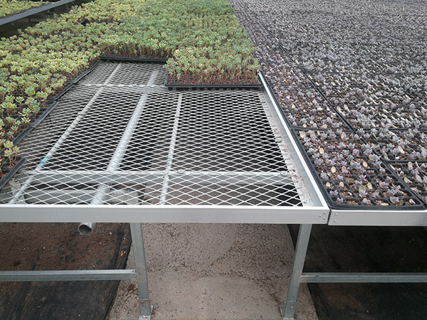 花卉苗床圖片/花卉苗床樣板圖 (4)