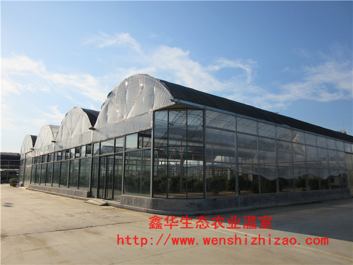 薄膜溫室大棚圖片/薄膜溫室大棚樣板圖 (3)