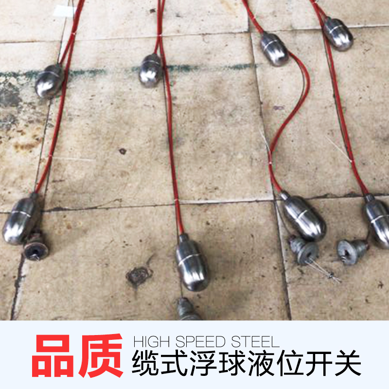 纜式浮球液位開關(guān)圖片/纜式浮球液位開關(guān)樣板圖 (1)