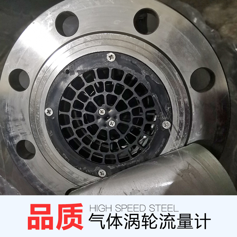 氣體渦輪流量計(jì)圖片/氣體渦輪流量計(jì)樣板圖 (1)