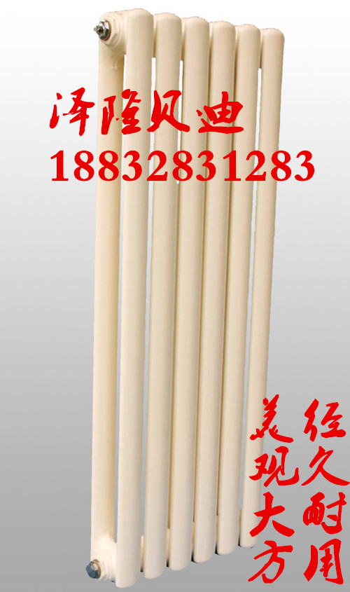 鋼二柱散熱器圖片/鋼二柱散熱器樣板圖 (2)