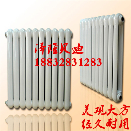 鋼二柱散熱器圖片/鋼二柱散熱器樣板圖 (4)