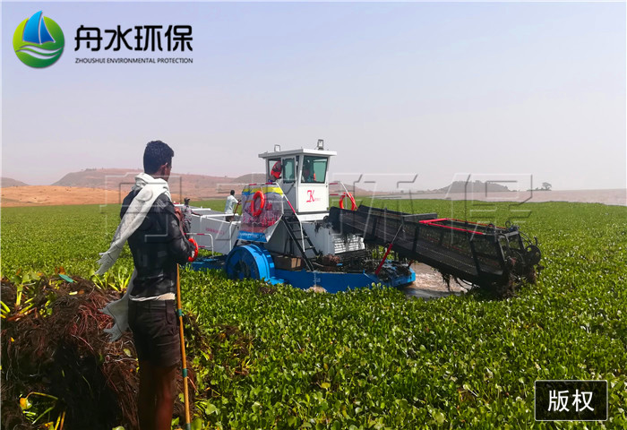 大中小型圖片/大中小型樣板圖 (3)