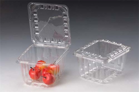 食品吸塑包裝圖片/食品吸塑包裝樣板圖 (2)