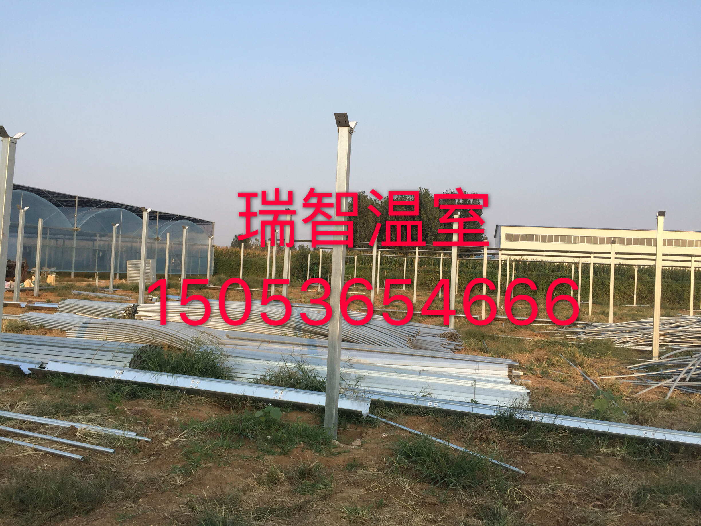 玻璃溫室的大棚造價(jià)、智能溫室大棚圖片/玻璃溫室的大棚造價(jià)、智能溫室大棚樣板圖 (4)