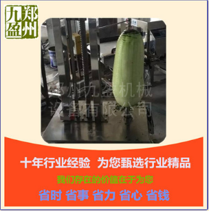 廠(chǎng)家直銷(xiāo)南瓜削皮機(jī)AG-120