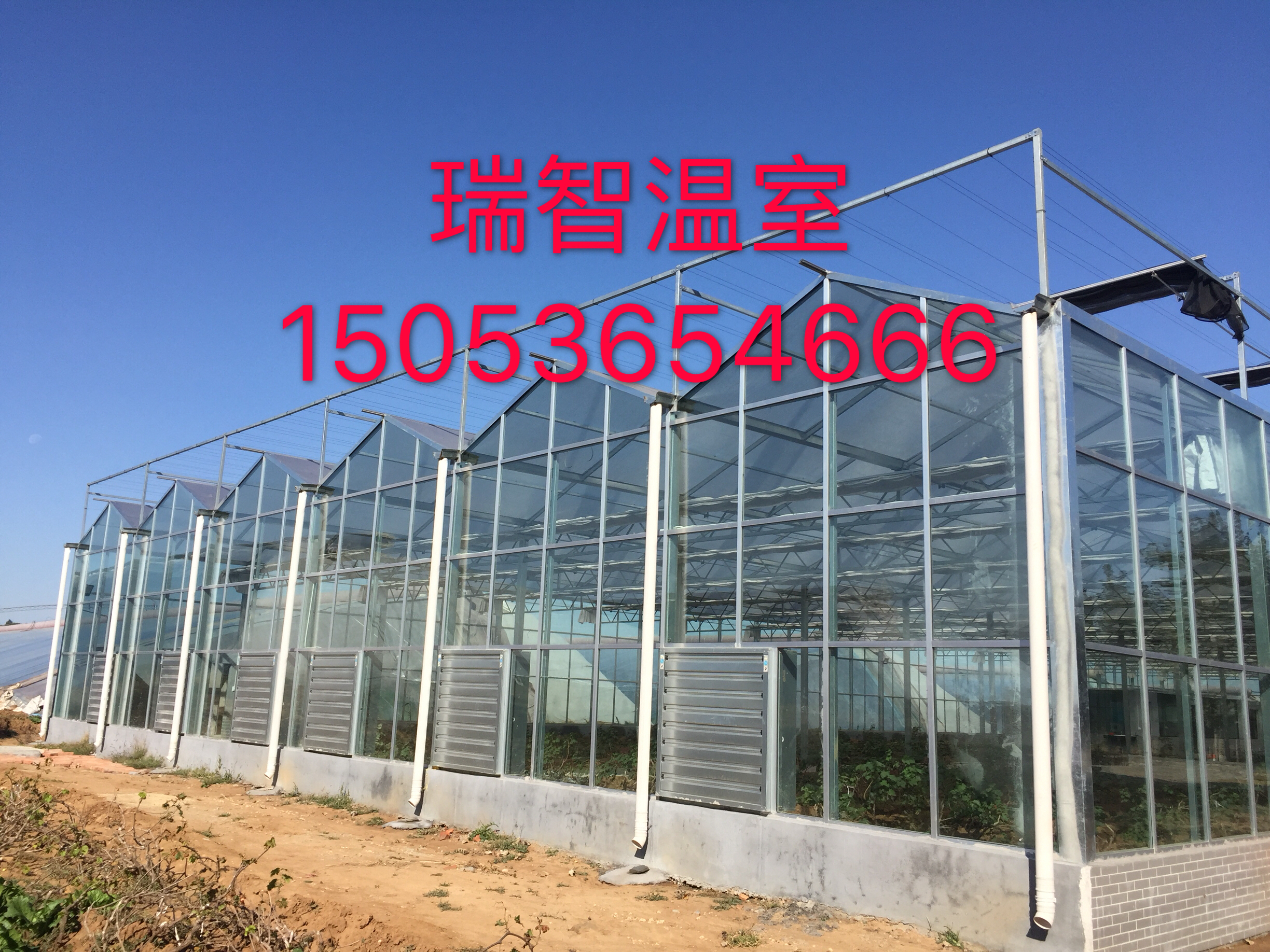 河北溫室大棚建造、玻璃溫室大棚建造專業(yè)廠家    山東瑞智溫室大棚工程有限公司