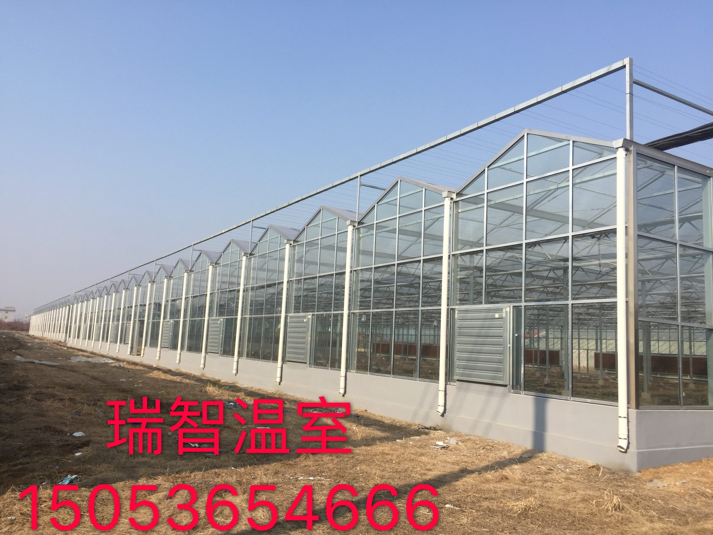 玻璃溫室的大棚造價(jià)、智能溫室大棚、現(xiàn)代化智能溫室--山東瑞智