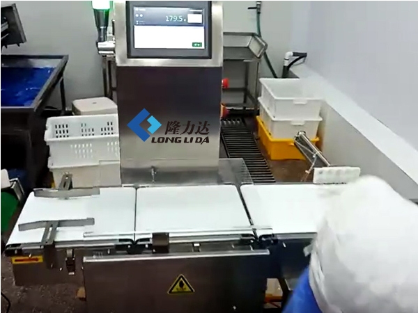 在線稱重圖片/在線稱重樣板圖 (4)