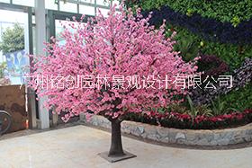 櫻花樹圖片/櫻花樹樣板圖 (4)