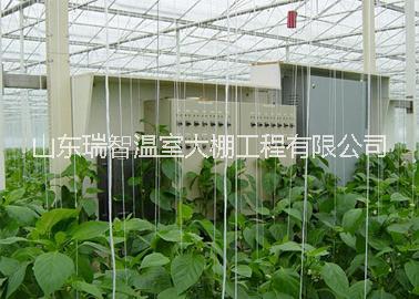 溫室骨架、溫室配件圖片/溫室骨架、溫室配件樣板圖 (4)