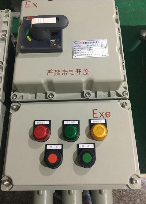 鋼板焊接立式防爆控制箱圖片/鋼板焊接立式防爆控制箱樣板圖 (3)