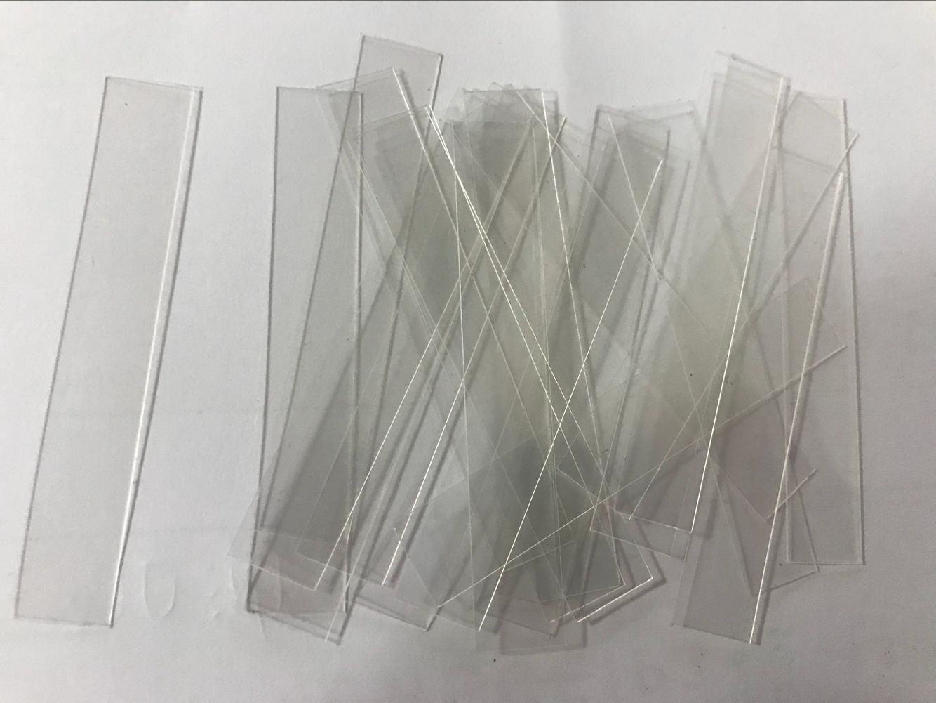 領尖片圖片/領尖片樣板圖 (2)