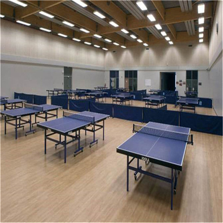 乒乓球圖片/乒乓球樣板圖 (2)