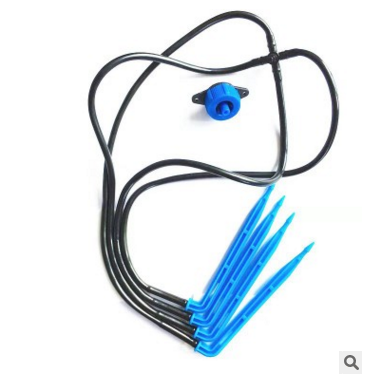 一出四滴劍套裝盆栽滴箭圖片/一出四滴劍套裝盆栽滴箭樣板圖 (2)