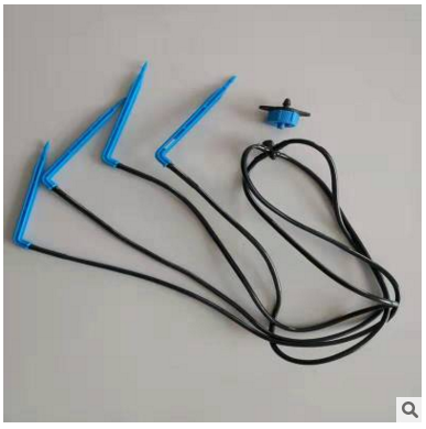 一出四滴劍套裝盆栽滴箭圖片/一出四滴劍套裝盆栽滴箭樣板圖 (4)