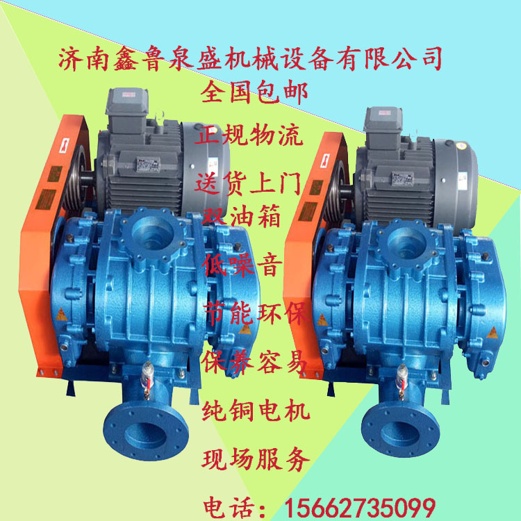 山東羅茨風(fēng)機(jī)圖片/山東羅茨風(fēng)機(jī)樣板圖 (1)