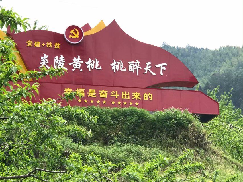蟠桃圖片/蟠桃樣板圖 (1)