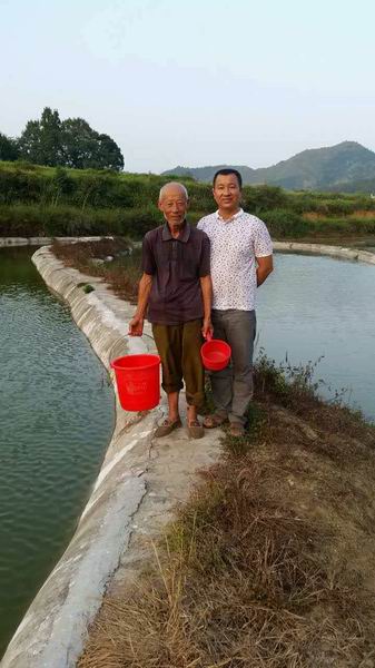 福建石斑鱼苗养殖场-福建石斑鱼苗批发价格-江西长运特种鱼苗养殖场/厂家图片