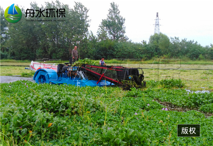 全自动割草船 河道保洁船 水葫芦打捞船